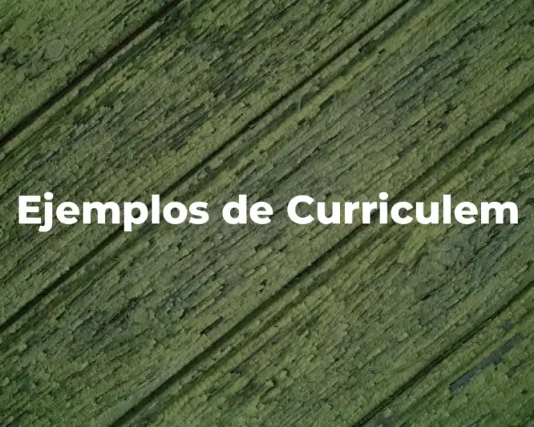 Ejemplos de Curriculem