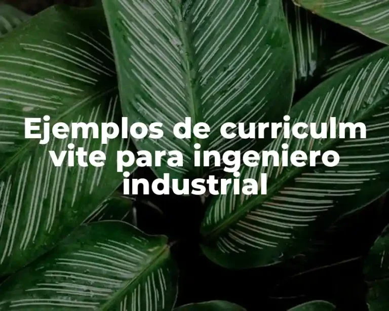 Ejemplos de curriculm vite para ingeniero industrial