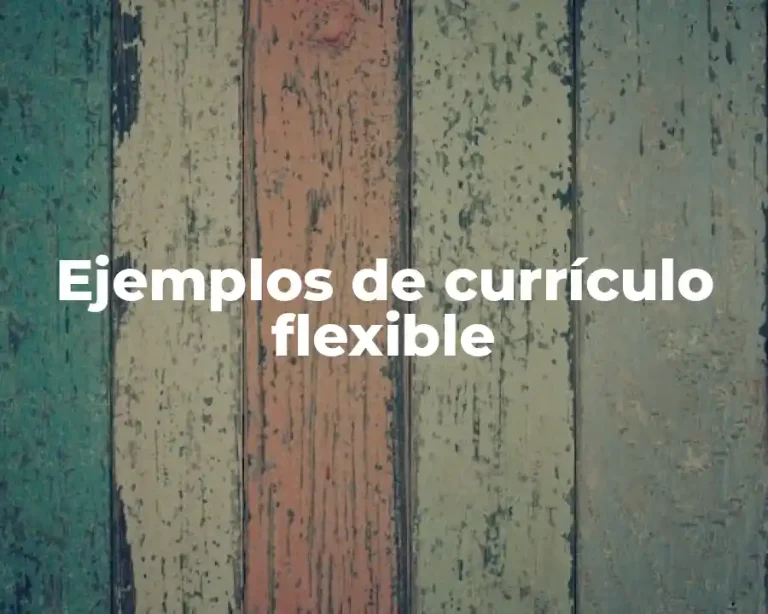 Ejemplos de currículo flexible
