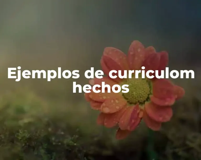 Ejemplos de curriculom hechos