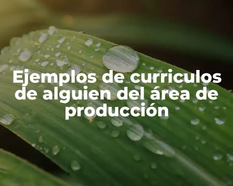 Ejemplos de curriculos de alguien del área de producción