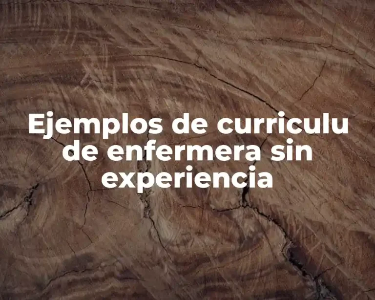 Ejemplos de curriculu de enfermera sin experiencia