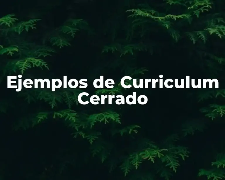 Ejemplos de Curriculum Cerrado