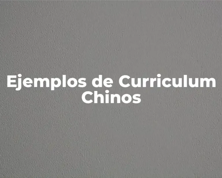 Ejemplos de Curriculum Chinos