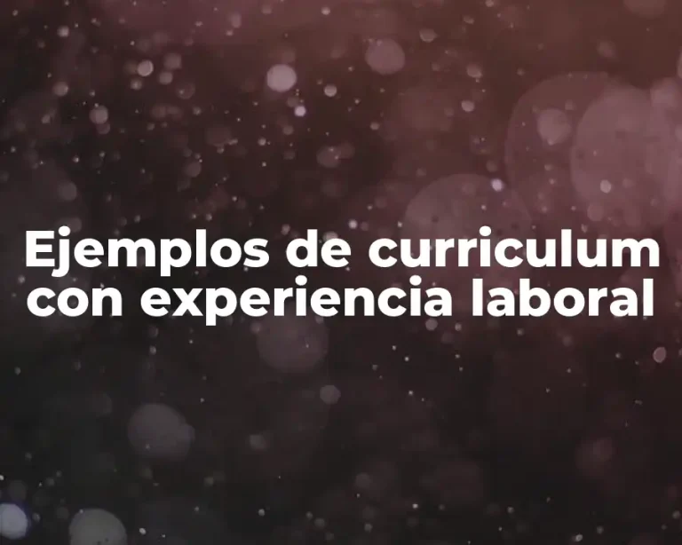 Ejemplos de curriculum con experiencia laboral