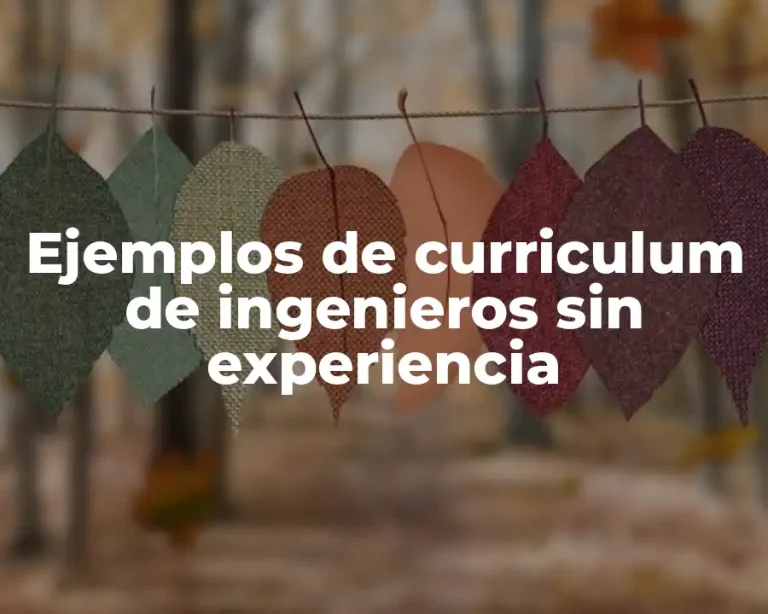 Ejemplos de curriculum de ingenieros sin experiencia