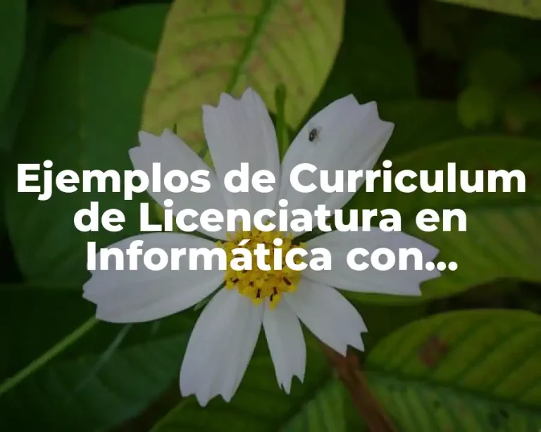 Ejemplos de Curriculum de Licenciatura en Informática con Publicaciones