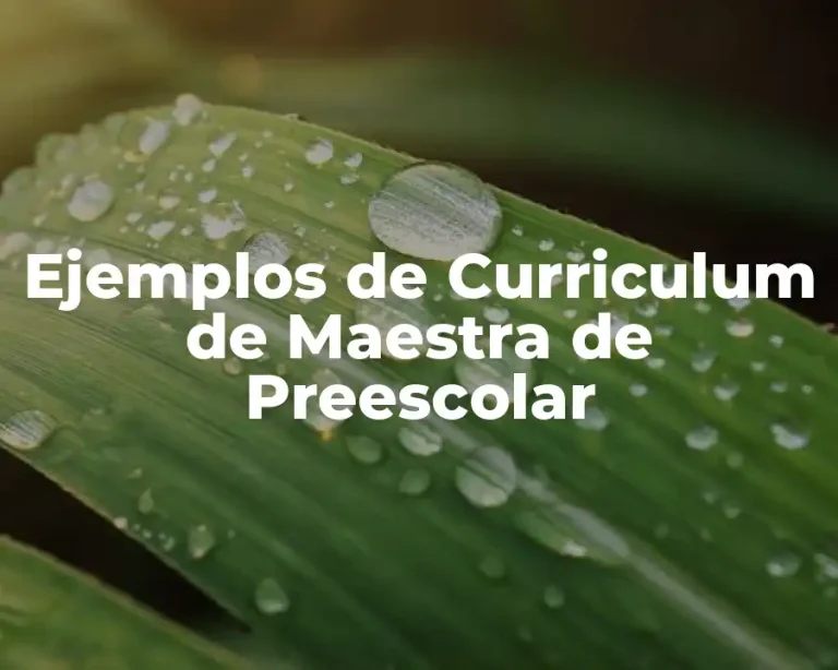 Ejemplos de Curriculum de Maestra de Preescolar
