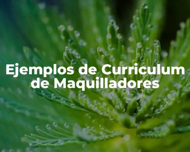 Ejemplos de Curriculum de Maquilladores