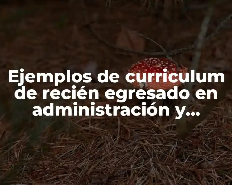 Ejemplos de curriculum de recién egresado en administración y Significado