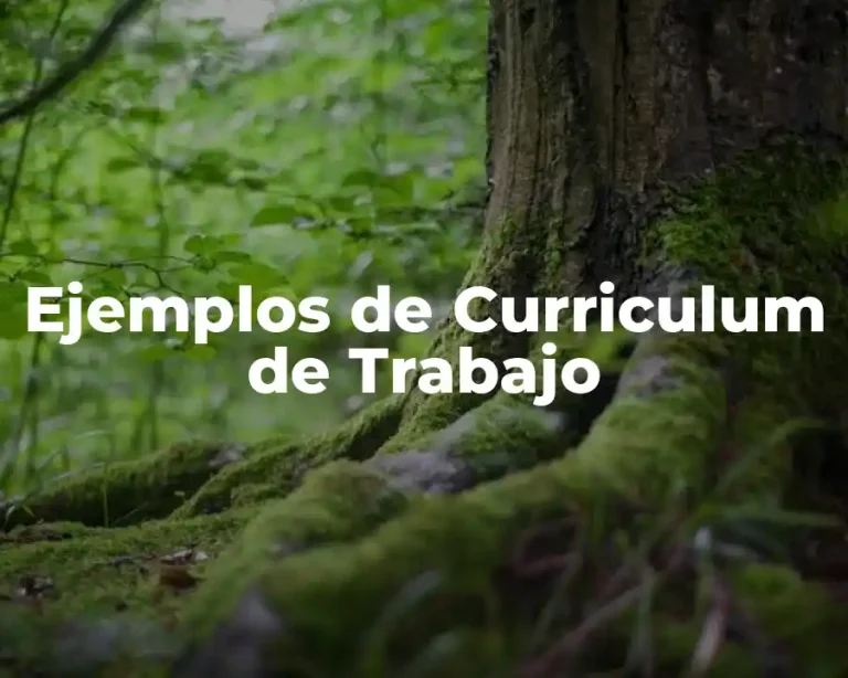Ejemplos de Curriculum de Trabajo