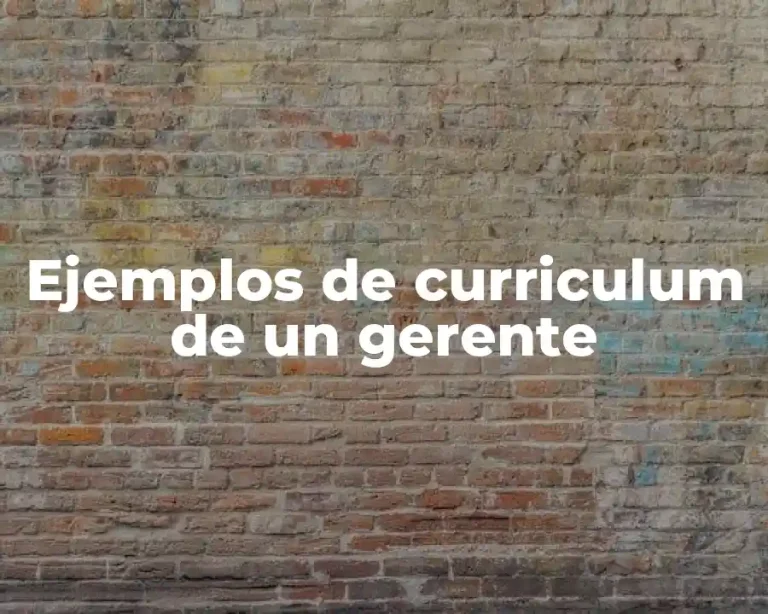 Ejemplos de curriculum de un gerente