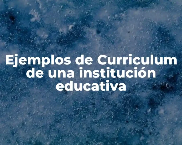 Ejemplos de Curriculum de una institución educativa