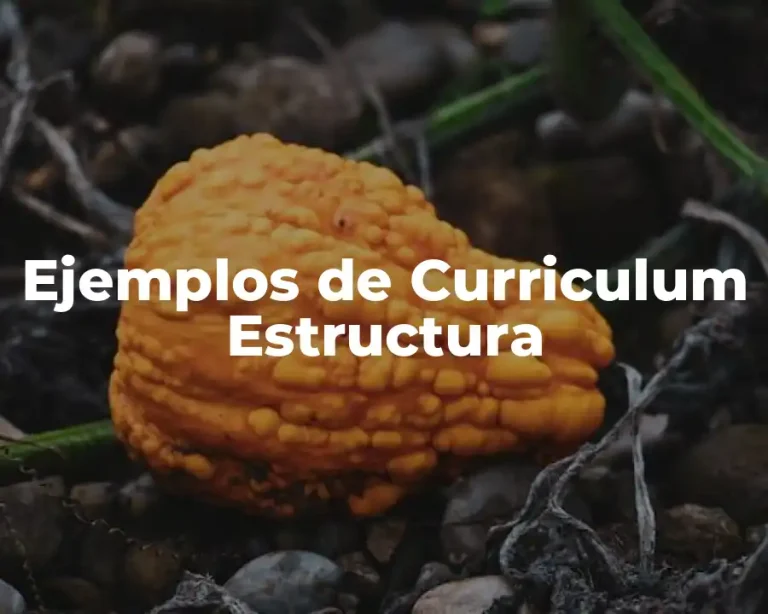 Ejemplos de Curriculum Estructura