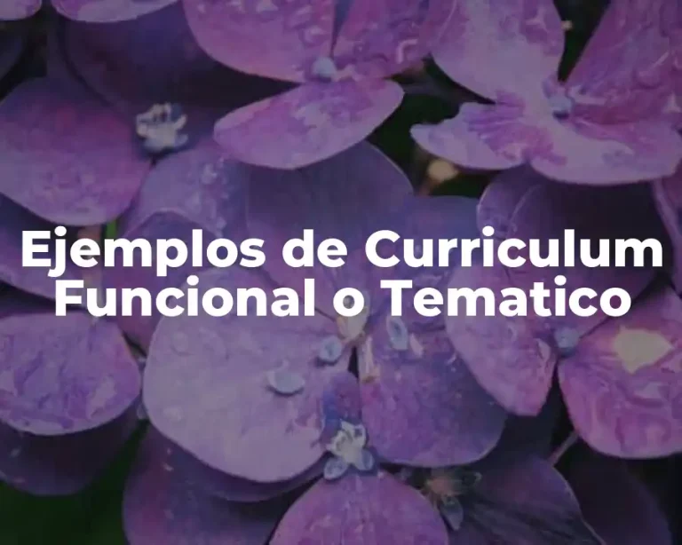 Ejemplos de Curriculum Funcional o Tematico