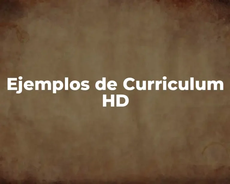 Ejemplos de Curriculum HD