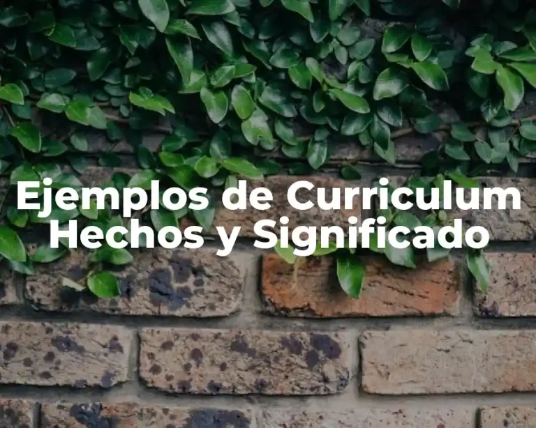 Ejemplos de Curriculum Hechos y Significado