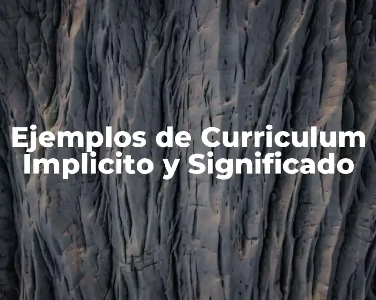 Ejemplos de Curriculum Implicito y Significado