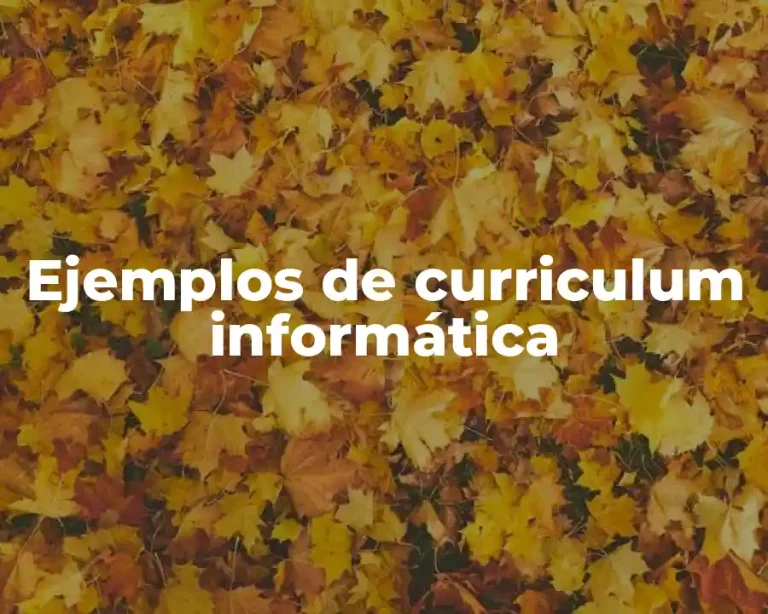 Ejemplos de curriculum informática