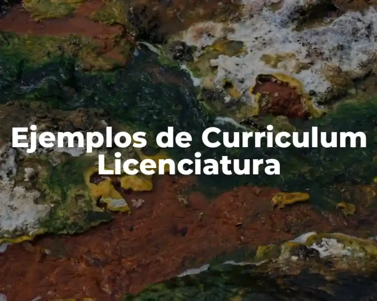 Ejemplos de Curriculum Licenciatura