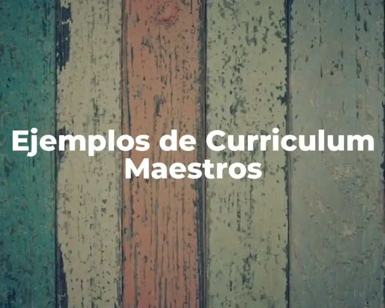 Ejemplos de Curriculum Maestros