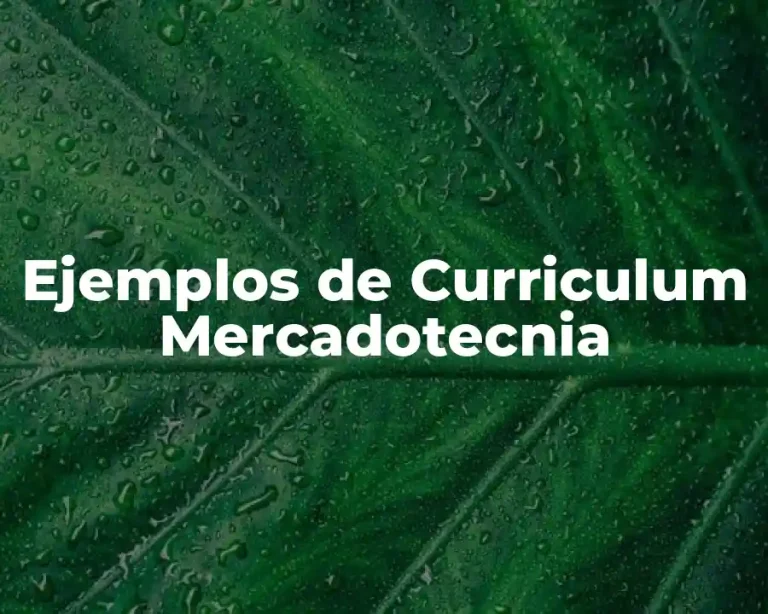 Ejemplos de Curriculum Mercadotecnia