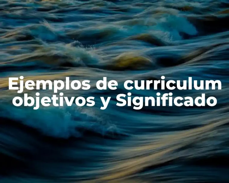 Ejemplos de curriculum objetivos y Significado