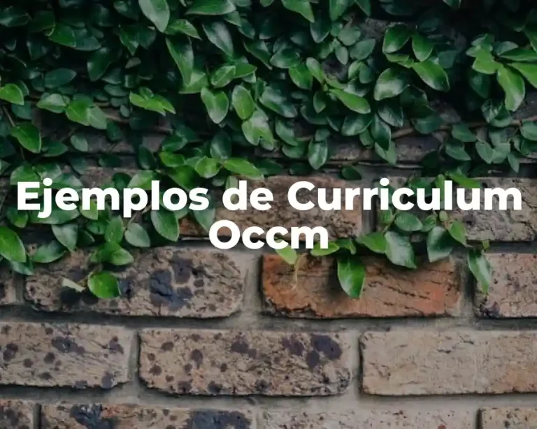 Ejemplos de Curriculum Occm