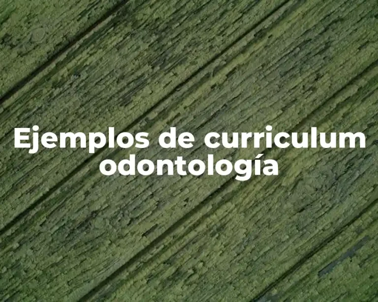Ejemplos de curriculum odontología