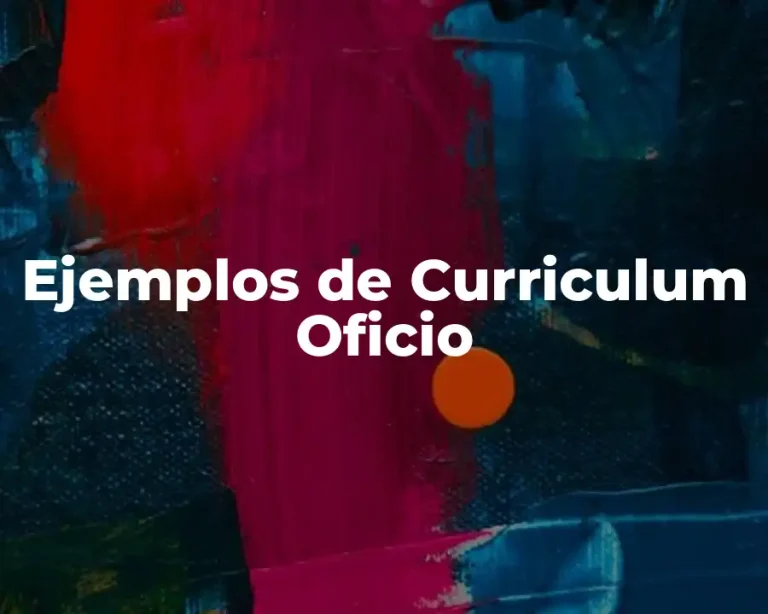 Ejemplos de Curriculum Oficio