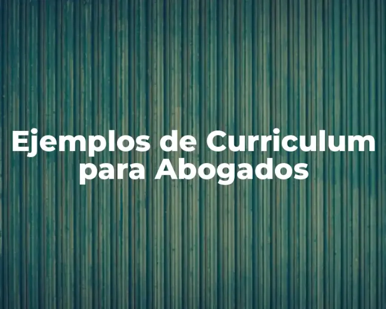 Ejemplos de Curriculum para Abogados