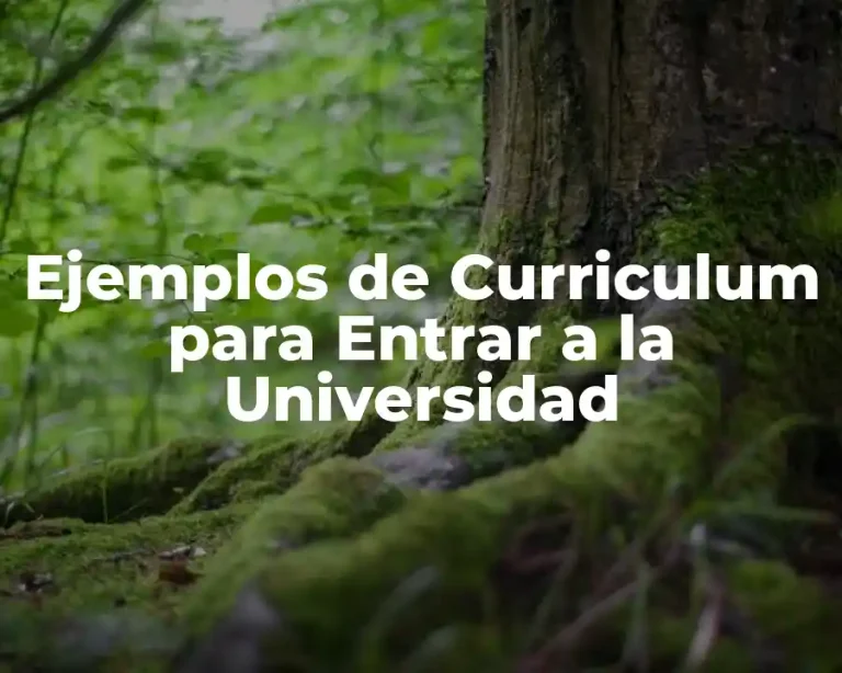 Ejemplos de Curriculum para Entrar a la Universidad