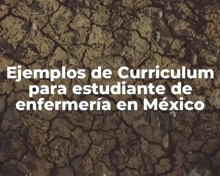 Ejemplos de Curriculum para estudiante de enfermería en México