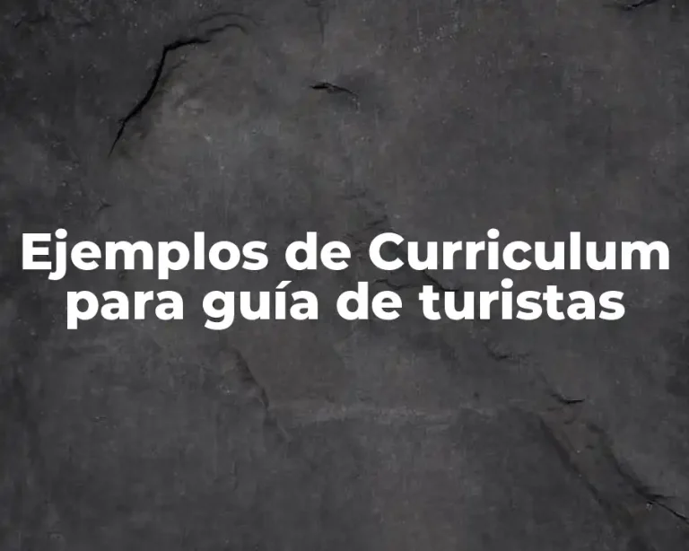 Ejemplos de Curriculum para guía de turistas