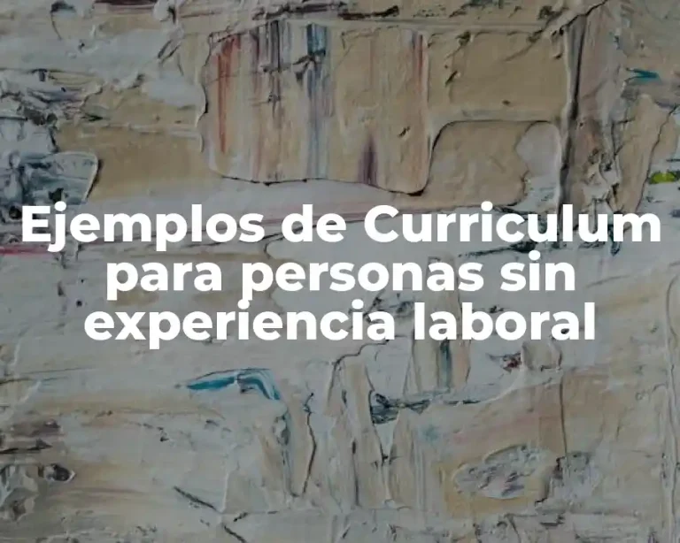 Ejemplos de Curriculum para personas sin experiencia laboral