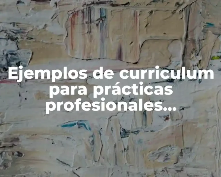 Ejemplos de curriculum para prácticas profesionales preparatoria