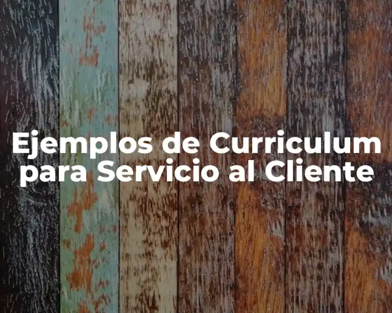 Ejemplos de Curriculum para Servicio al Cliente
