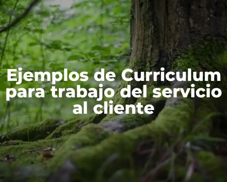 Ejemplos de Curriculum para trabajo del servicio al cliente