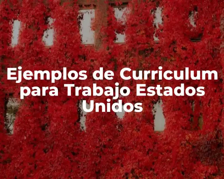 Ejemplos de Curriculum para Trabajo Estados Unidos