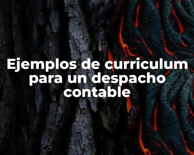 Ejemplos de curriculum para un despacho contable