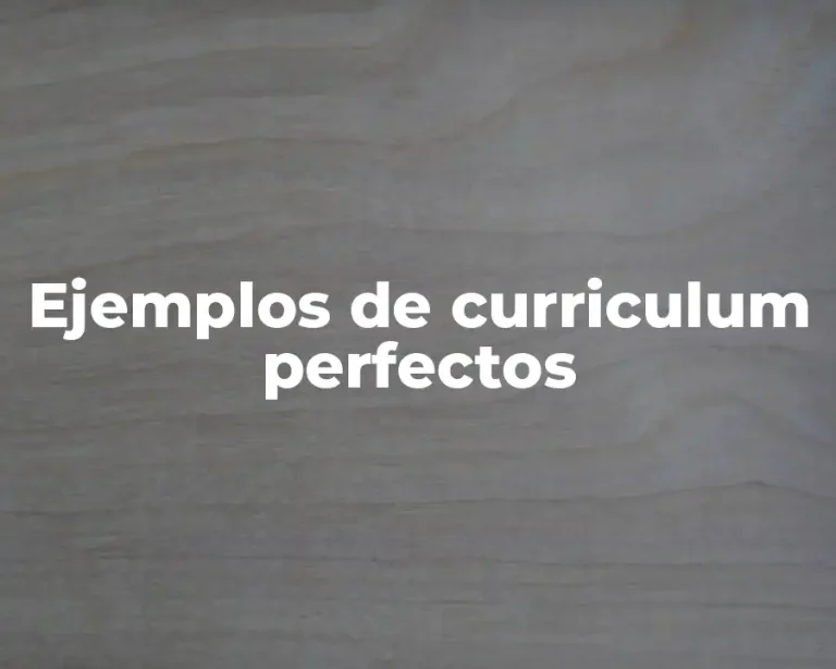 Ejemplos de curriculum perfectos