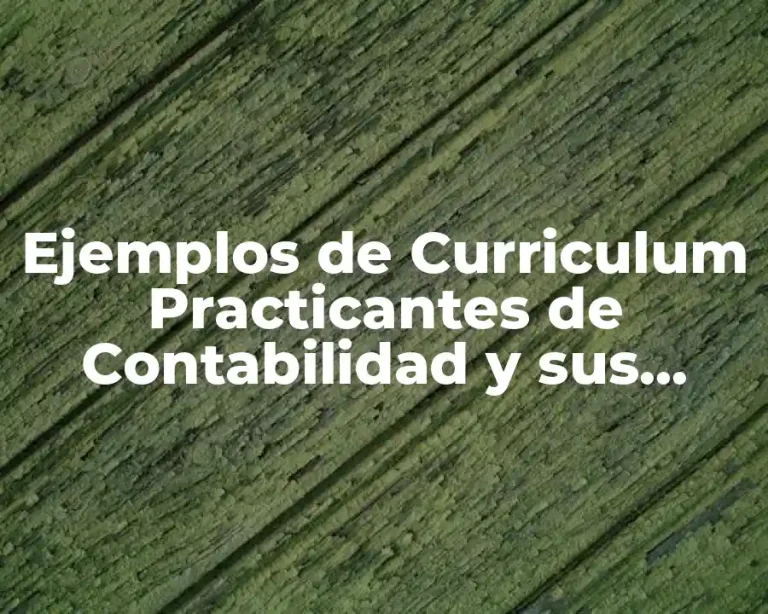 Ejemplos de Curriculum Practicantes de Contabilidad y sus Hobbies