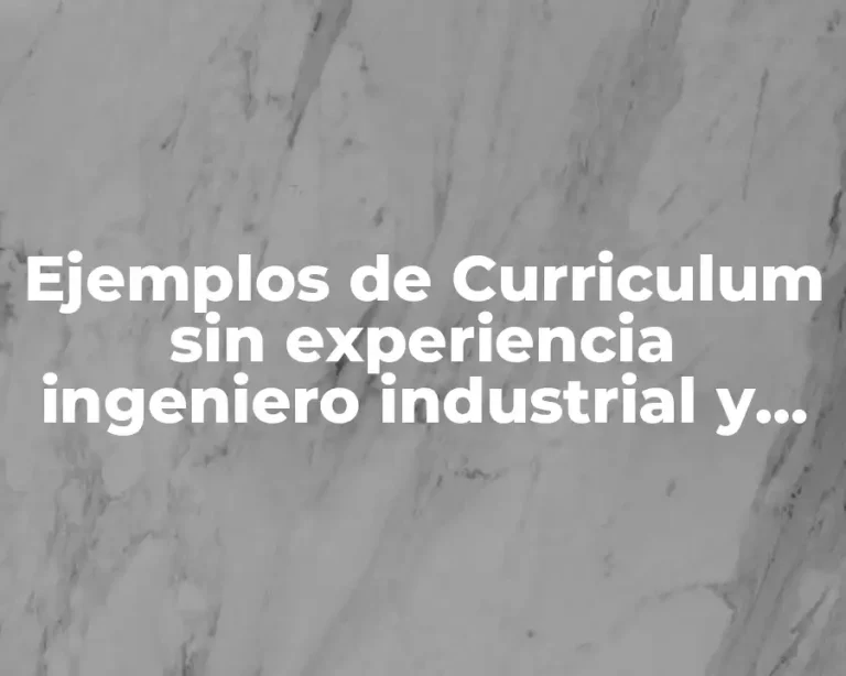 Ejemplos de Curriculum sin experiencia ingeniero industrial y Significado