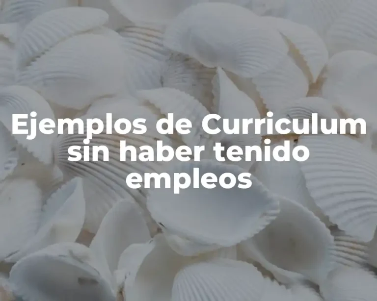 Ejemplos de Curriculum sin haber tenido empleos