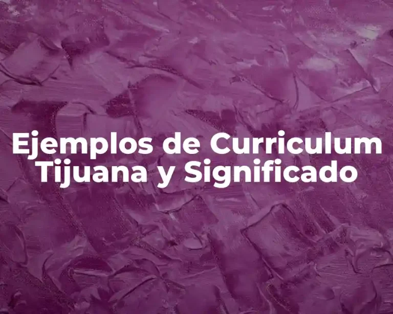 Ejemplos de Curriculum Tijuana y Significado