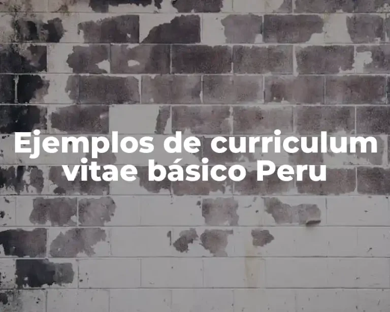 Ejemplos de curriculum vitae básico Peru
