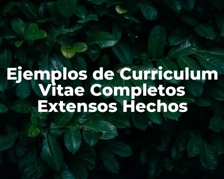 Ejemplos de Curriculum Vitae Completos Extensos Hechos