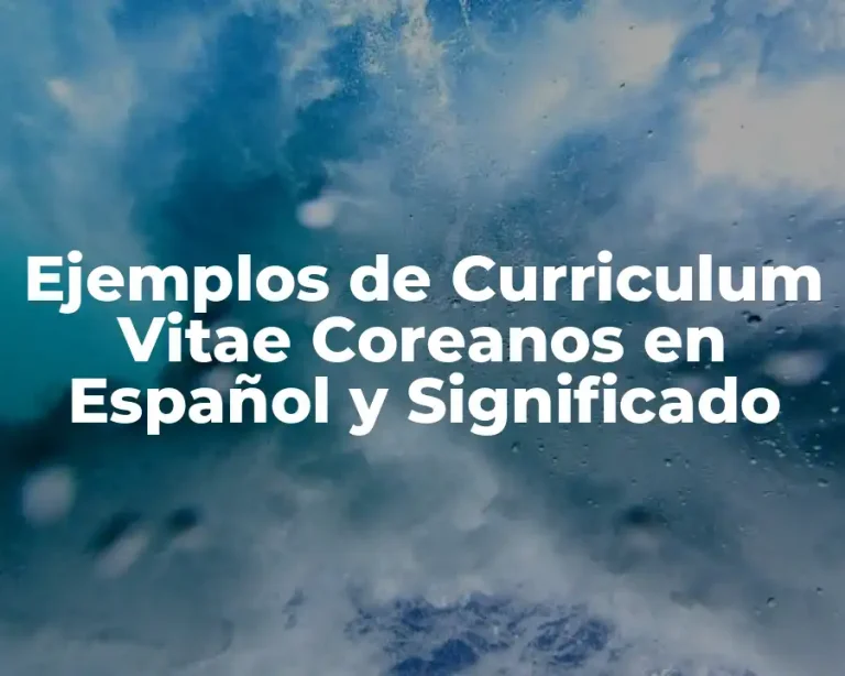 Ejemplos de Curriculum Vitae Coreanos en Español y Significado