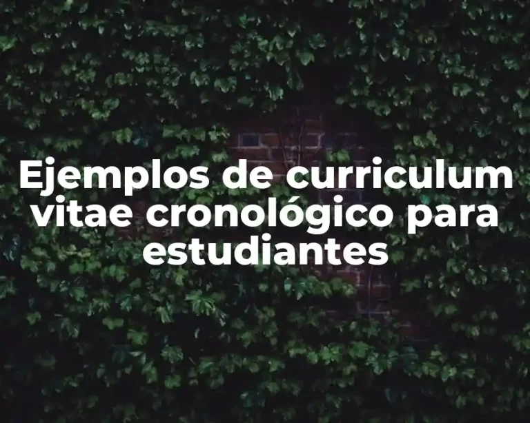 Ejemplos de curriculum vitae cronológico para estudiantes