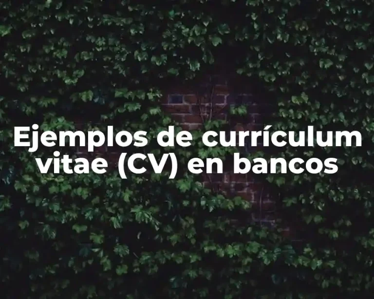 Ejemplos de currículum vitae (CV) en bancos